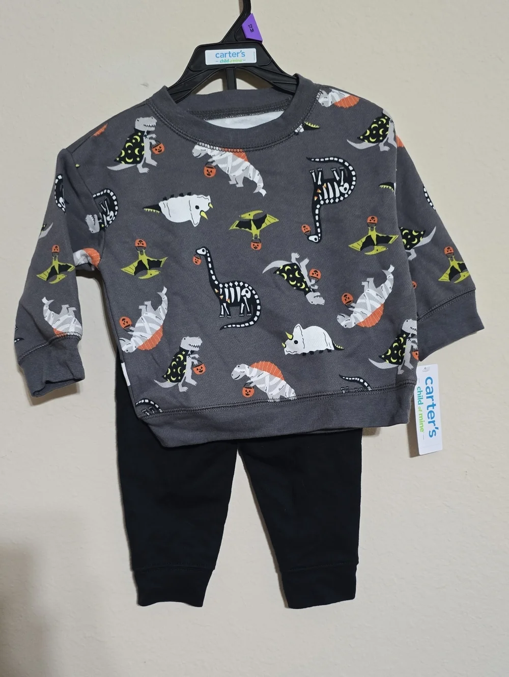 NWT Boys Carters Gray Dino Print Sweatshirt and Black Pants Set Size 12M